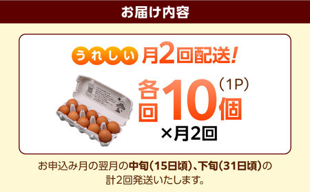 《月2回 × 10個 1ヶ月コース》 たたらの里平飼い 彩り天佑卵 全2回定期便 島根県雲南市/株式会社たなべたたらの里（たなべ森の鶏舎）｜たまご 卵 放牧卵 平飼い卵 新鮮 国産 定期便[AIDL016]