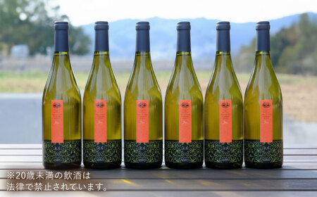 杜のワイン白 6本セット 辛口 お酒[AICS093]