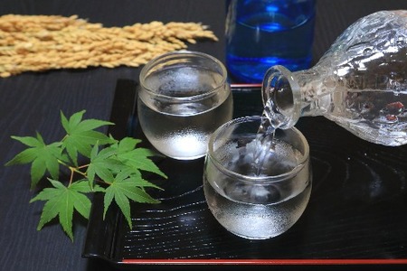 酒 「泡雲」スパークリング純米酒 750ml・「雲」純米吟醸 無濾過生原酒 720ml セット [AIBG005] 酒