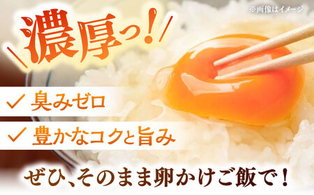 卵 【全6回定期便】彩り天佑卵 30個入り [AIDL003] 卵