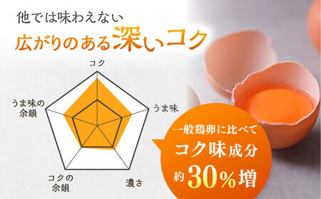 卵 【全6回定期便】彩り天佑卵 30個入り [AIDL003] 卵