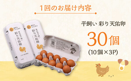 卵 【全6回定期便】彩り天佑卵 30個入り [AIDL003] 卵