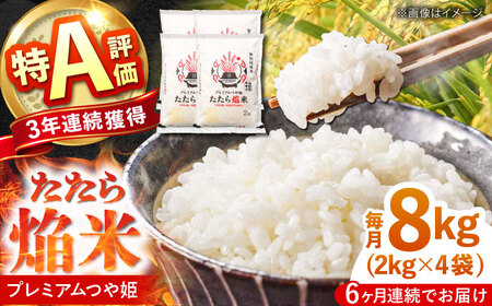 【6回定期便】令和7年産新米 プレミアムつや姫 8kg 定期便 精米 白米 [AIBR008]