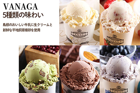 5種類のアイスクリーム12個入り［木次乳業／VANAGA］バニラアイスクリーム ストロベリーアイスクリーム 抹茶あずきアイスクリーム ビターチョコアイスクリーム ブルーベリーアイスクリーム