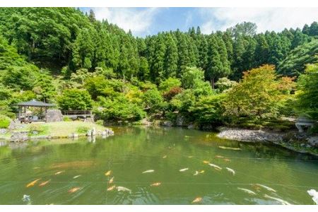 回遊式日本庭園「石照庭園」茶懐石ペアチケット
