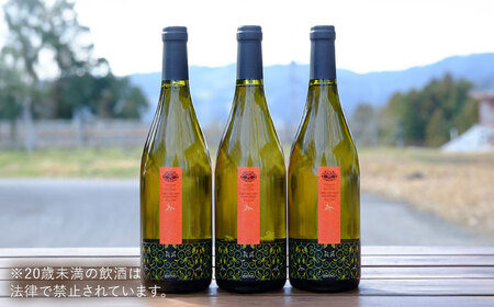 ワイン 杜のワイン 白 3本セット [AICS052]
