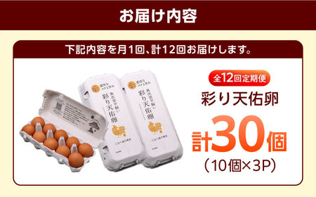 卵 定期便 12回 彩り天佑卵 30個入り [AIDL005] たまご