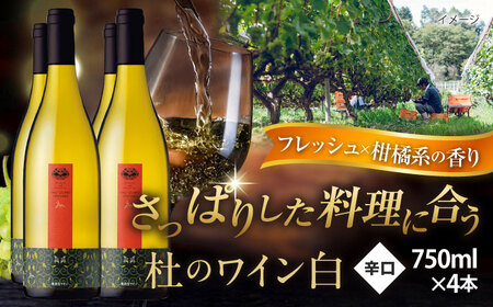 ワイン 杜のワイン 白 4本セット[AICS061]