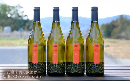 ワイン 杜のワイン 白 4本セット[AICS061]