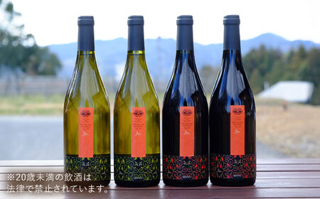 杜のワイン 白・赤 各2本セット [AICS062]