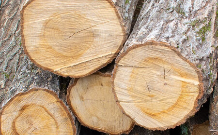 薪 40cm×20kg 乾燥薪 ナラ・クヌギ・樫 キャンプ 暖炉 焚き火[AIBL007]