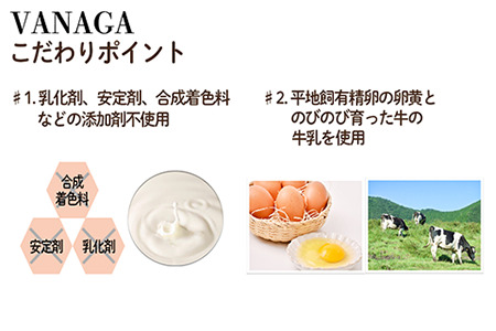 5種類のアイスクリーム6個入り［木次乳業／VANAGA］