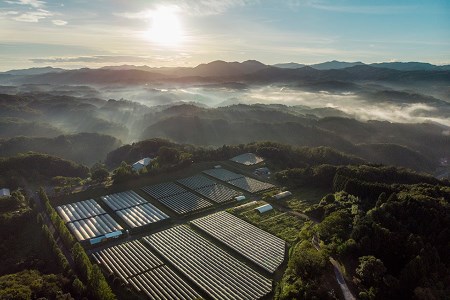 奥出雲葡萄園　シャルドネ　2本セット（白ワイン）