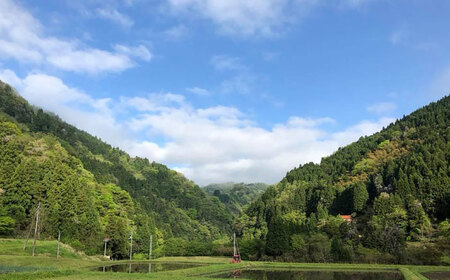 もち 杵つきまるもち 540g 3袋セット（30個） [AIBB007] もち