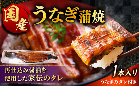 うなぎ 国産活うなぎ蒲焼（1本入） [AICQ002] うなぎ