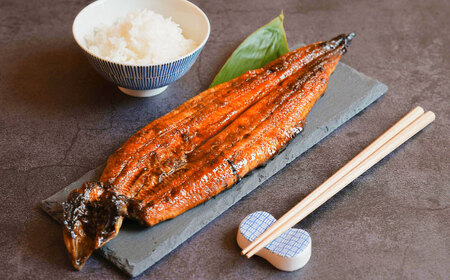 うなぎ 国産活うなぎ蒲焼（1本入） [AICQ002] うなぎ