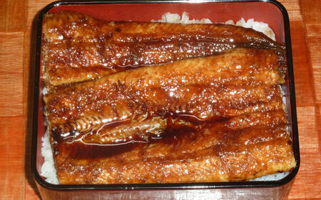 うなぎ 国産活うなぎ蒲焼（1本入） [AICQ002] うなぎ