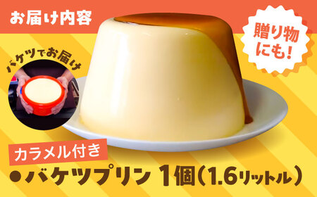 プリン バケツプリン [AIDA001] プリン