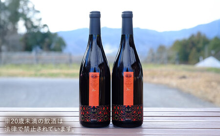 杜のワイン赤 2本セット ワイン 赤ワイン 奥出雲葡萄園 [AICS060]