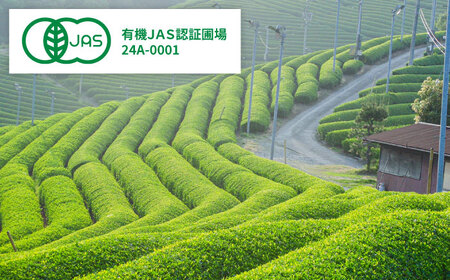 茶 煎茶3種セット [AIBV001] 茶