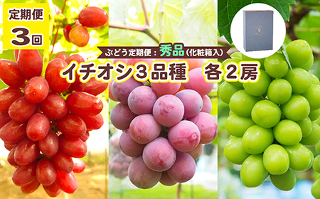 ＜令和6年夏発送・数量限定＞【ぶどう定期便・秀品】イチオシ3品種　各2房