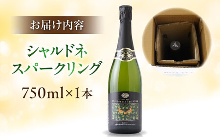 ワイン シャルドネスパークリング ワイン   [AICS058] ワイン