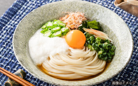 うどん 雲南の干しうどん(平麺) 250g×15袋  [AICE001] うどん