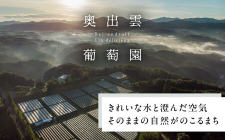 ワイン シャルドネ3種セット [AICS041]