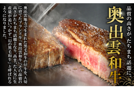 全国大会W受賞！奥出雲和牛サーロインステーキ170g×2枚 【牛肉 霜降り ステーキ サーロインステーキ ステーキ肉 サーロイン 黒毛和牛 170g 2枚】