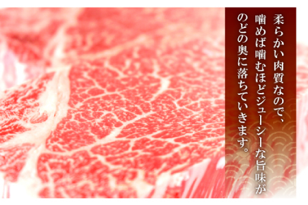 全国大会W受賞！奥出雲和牛サーロインステーキ170g×2枚 【牛肉 霜降り ステーキ サーロインステーキ ステーキ肉 サーロイン 黒毛和牛 170g 2枚】