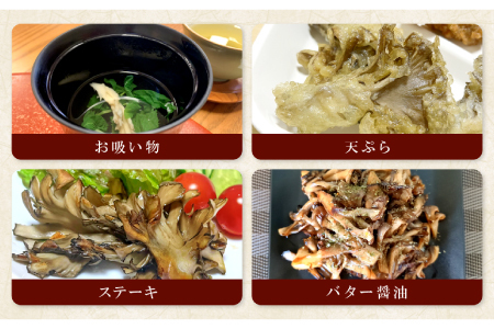 旨味と香りがあふれる奥出雲舞茸4株【舞茸 まいたけ きのこ 野菜 丸ごと 4株 約2kg 国産 無農薬 安全 安心 食物繊維 健康 産地直送 プレゼント ギフト 贈り物】