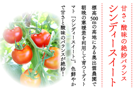 世界基準の奥出雲高原ミディトマト3kg（中玉サイズ）【トマト とまと 3kg たっぷり 野菜 ミディトマト 中玉 一口サイズ 厳選 新鮮 お手軽 健康 美容 安心 安全 美味しい サラダ シンディースィート リコピン やさい】