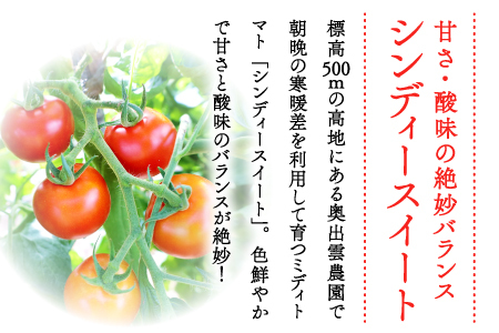 世界基準の奥出雲高原ミディトマト1.3kg（中玉サイズ）【トマト とまと 野菜 ミディトマト 1.3kg 中玉 厳選 新鮮 健康 美容 安心 安全 美味しい サラダ シンディースィート リコピン やさい】