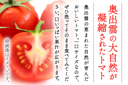 世界基準の奥出雲高原ミディトマト1.3kg（中玉サイズ）【トマト とまと 野菜 ミディトマト 1.3kg 中玉 厳選 新鮮 健康 美容 安心 安全 美味しい サラダ シンディースィート リコピン やさい】