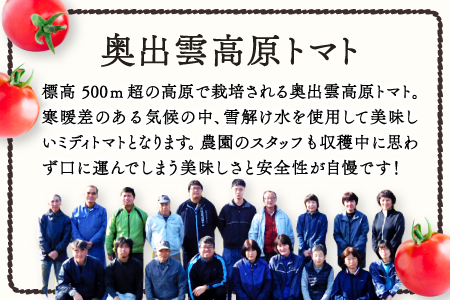 世界基準の奥出雲高原ミディトマト1.3kg（中玉サイズ）【トマト とまと 野菜 ミディトマト 1.3kg 中玉 厳選 新鮮 健康 美容 安心 安全 美味しい サラダ シンディースィート リコピン やさい】