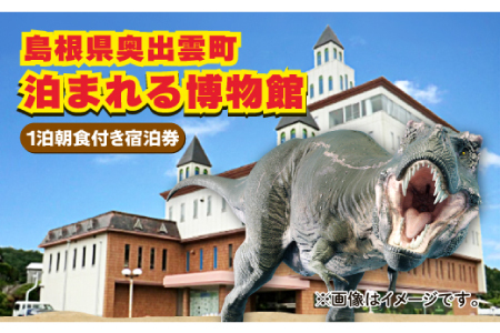 泊まれる博物館｢1泊朝食付き宿泊券｣1名様【宿泊券 宿泊 旅行券 温泉 観光 旅行 旅 1食付き 朝食付き 1名様 恐竜 博物館 天然温泉 入浴券 温泉 トラベル 体験 チケット 島根県 奥出雲町】