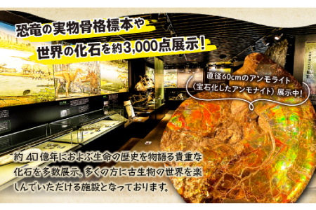 泊まれる博物館｢1泊朝食付き宿泊券｣1名様【宿泊券 宿泊 旅行券 温泉 観光 旅行 旅 1食付き 朝食付き 1名様 恐竜 博物館 天然温泉 入浴券 温泉 トラベル 体験 チケット 島根県 奥出雲町】