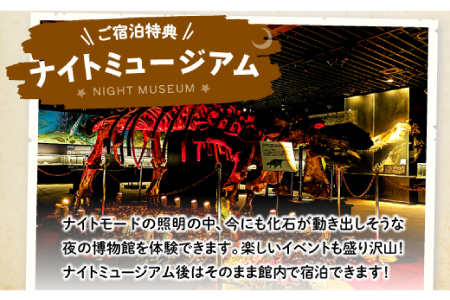 泊まれる博物館｢1泊朝食付き宿泊券｣1名様【宿泊券 宿泊 旅行券 温泉 観光 旅行 旅 1食付き 朝食付き 1名様 恐竜 博物館 天然温泉 入浴券 温泉 トラベル 体験 チケット 島根県 奥出雲町】