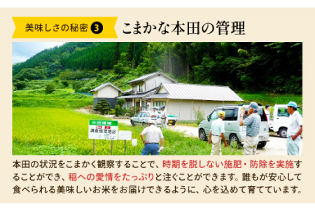 島根県仁多産コシヒカリ特別栽培米15㎏【新米 2025年度産 令和7年度産 仁多米 こしひかり コシヒカリ 特別栽培米 5kg×3袋 合計15kg 金賞受賞 白米 精米 お米 米 ご飯 ごはん ギフト 贈り物 贈答 プレゼント】