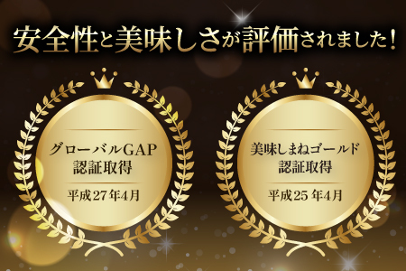 無塩･無添加トマトジュース｢奥出雲美人｣12本【トマトジュース 無添加 無塩 国産 砂糖不使用 720ml 12本 セット 100%ジュース 野菜ジュース 飲料 料理 健康 美容 安心 安全 リコピン 野菜 贈答 贈り物 プレゼント ギフト】