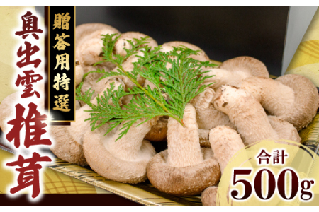 「奥出雲椎茸」贈答用特選 500g【椎茸 生しいたけ 肉厚 収穫直後 新鮮 菌床栽培 国産 旨味たっぷり きのこ キノコ 野菜 料理 食品 贈答用 特選 プレゼント 贈り物 ギフト】