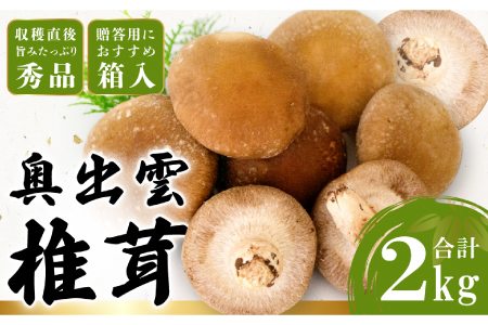 「奥出雲椎茸」秀品 箱入 2kg 【椎茸 生しいたけ 2kg 肉厚 収穫直後 サイズ混合 新鮮 旨味たっぷり 菌床栽培 国産 きのこ キノコ 野菜 料理 食品 産地直送 自宅用】