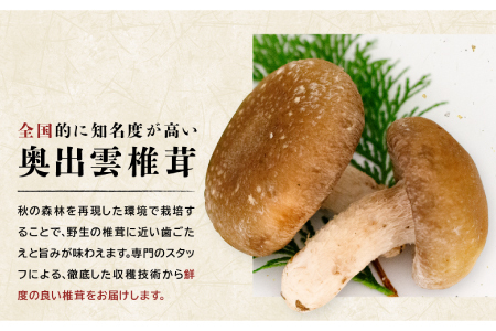 「奥出雲椎茸」秀品 箱入 2kg 【椎茸 生しいたけ 2kg 肉厚 収穫直後 サイズ混合 新鮮 旨味たっぷり 菌床栽培 国産 きのこ キノコ 野菜 料理 食品 産地直送 自宅用】