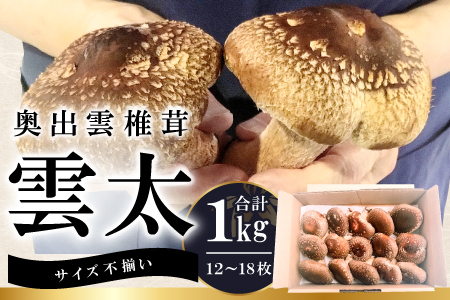 奥出雲椎茸「雲太」不揃い 1kg【椎茸 生しいたけ 12枚 15枚 18枚 肉厚 収穫直後 新鮮 菌床栽培 国産 きのこ キノコ 野菜 料理 食品 プレゼント 贈り物 ギフト】