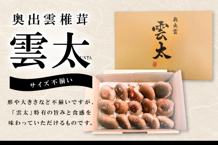 奥出雲椎茸「雲太」不揃い 1kg【椎茸 生しいたけ 12枚 15枚 18枚 肉厚 収穫直後 新鮮 菌床栽培 国産 きのこ キノコ 野菜 料理 食品 プレゼント 贈り物 ギフト】