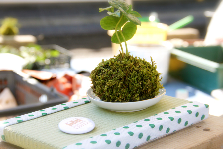 ミニ畳作り体験（1人分）【畳作り 畳作り体験 ワークショップ 畳 たたみ 和風 和モダン インテリア 家具 おしゃれ コンパクト】