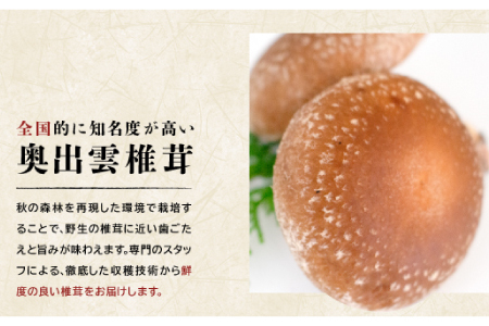 「奥出雲椎茸」秀品箱入【椎茸 生しいたけ 1kg 収穫直後 サイズ混合 新鮮 旨味たっぷり 菌床栽培 国産 きのこ キノコ 野菜 料理 食品 産地直送 自宅用】