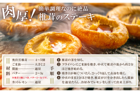 「奥出雲椎茸」秀品箱入【椎茸 生しいたけ 1kg 収穫直後 サイズ混合 新鮮 旨味たっぷり 菌床栽培 国産 きのこ キノコ 野菜 料理 食品 産地直送 自宅用】