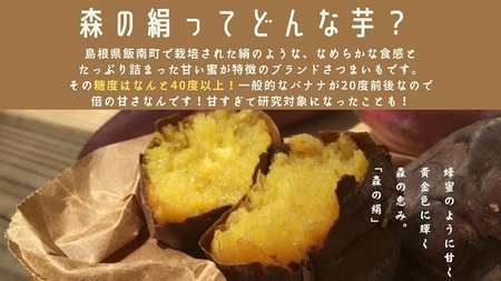 蒸して干しただけ！高糖度サツマイモ「森の絹」の干し芋270g×3袋【 干し芋 ほしいも 森の絹 農薬不使用 蜜 サツマイモ 大容量 Ａ-29 】