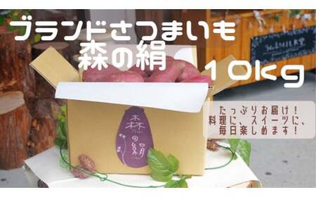 高糖度サツマイモ「森の絹」生イモ10kg【さつまいも 農薬不使用 有機肥料使用 シルクスイート 紅はるか 蜜 焼き芋 C-24 】